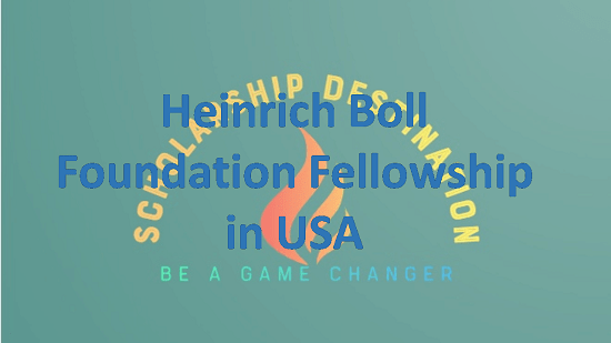 Heinrich Boll Foundation Fellowship