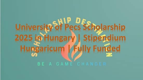 University of Pecs Stipendium Hungaricum Scholarship