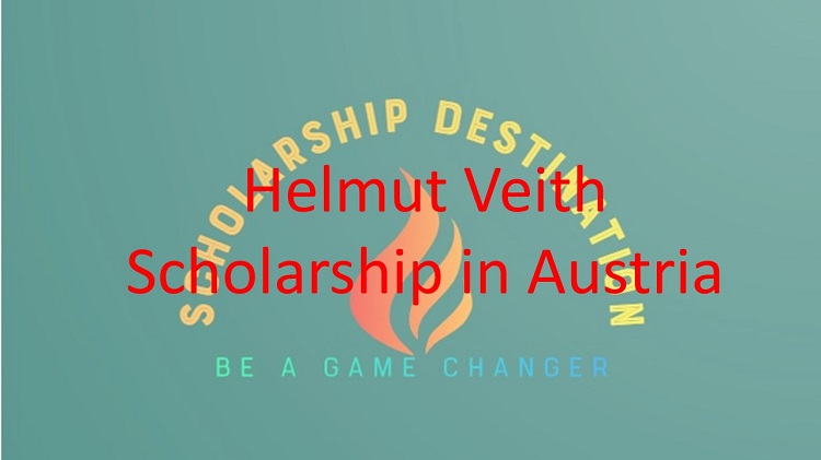 Helmut Veith Scholarship in Austria